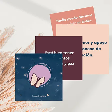 alas-de-mariposa-duelo-perinatal02 consulta de matrona para un bebé recién nacido