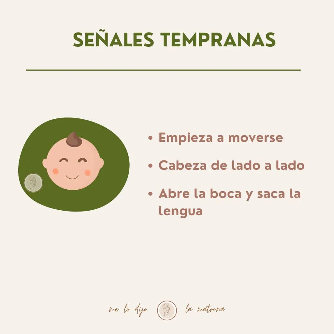 como saber si mi bebé tiene hambre