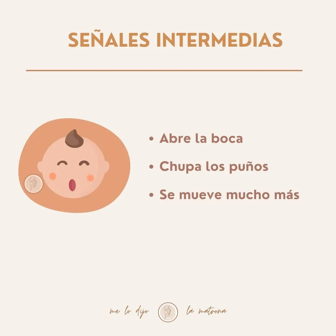 como saber si mi bebé tiene hambre