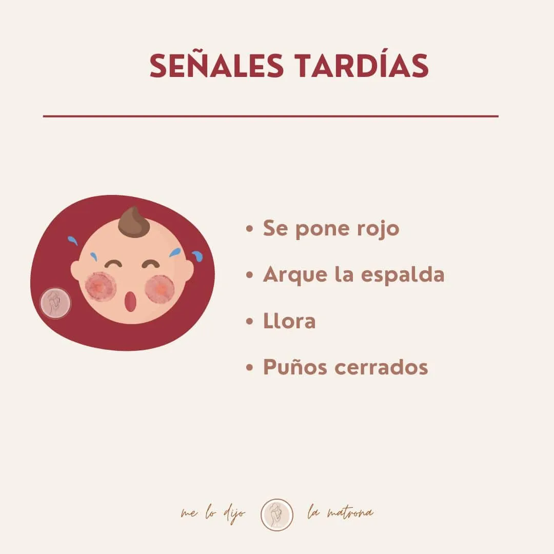 como saber si mi bebé tiene hambre