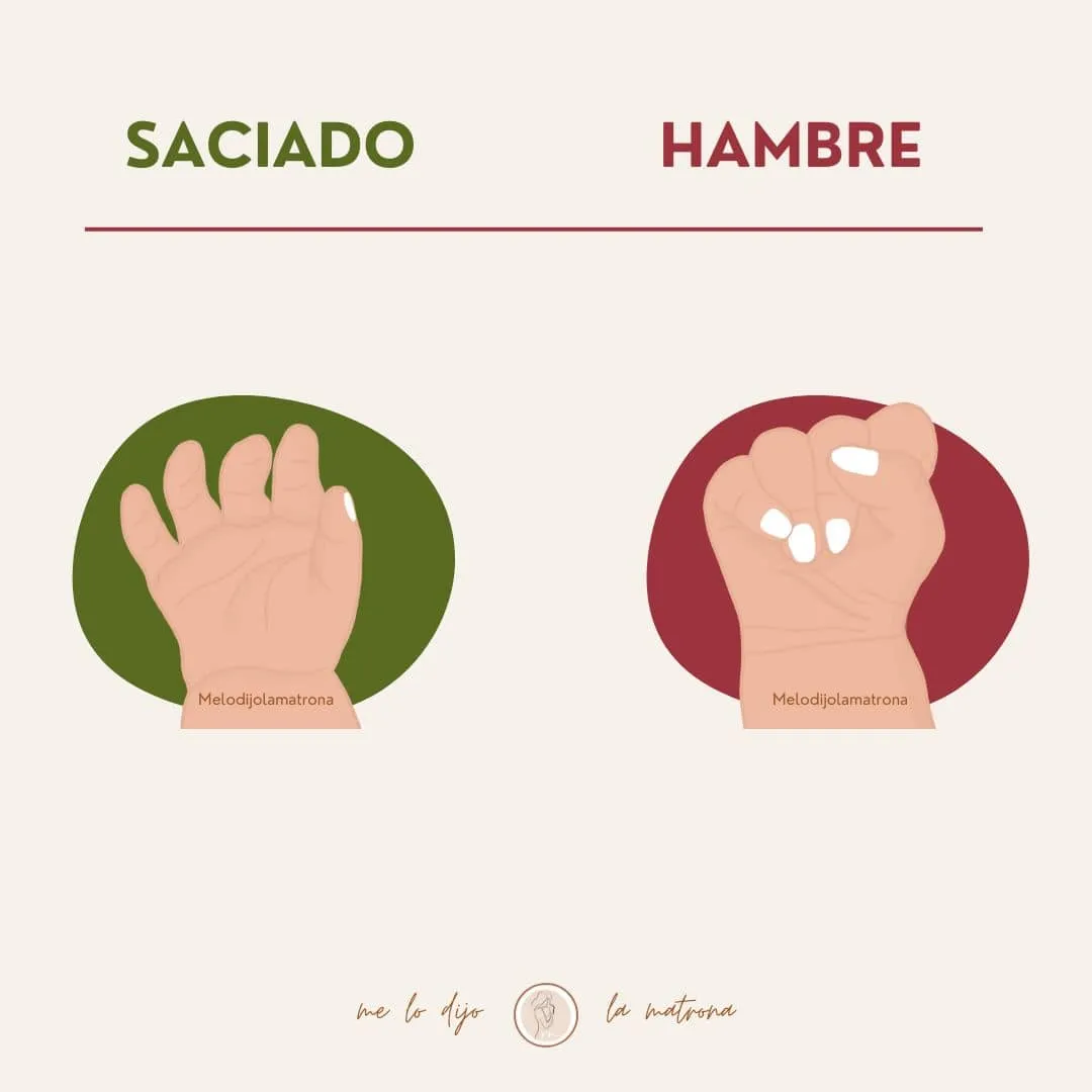 como saber si mi bebé tiene hambre