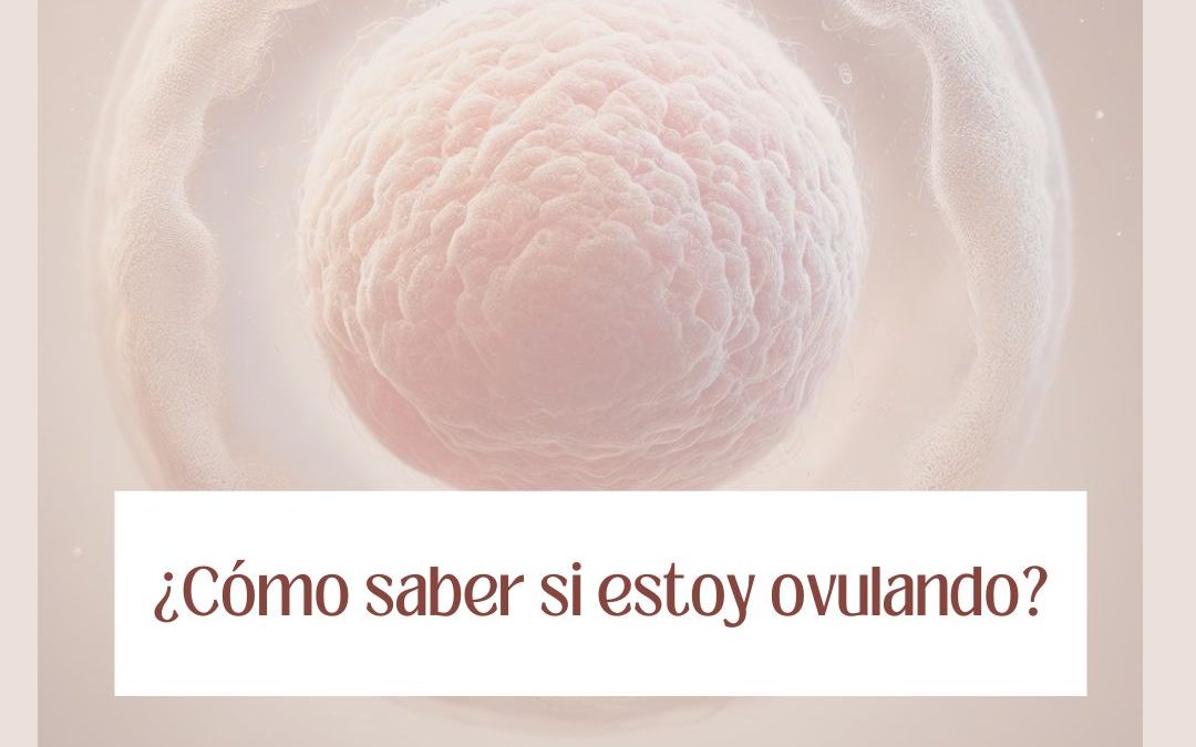 ¿Cómo saber si estoy ovulando? Síntomas