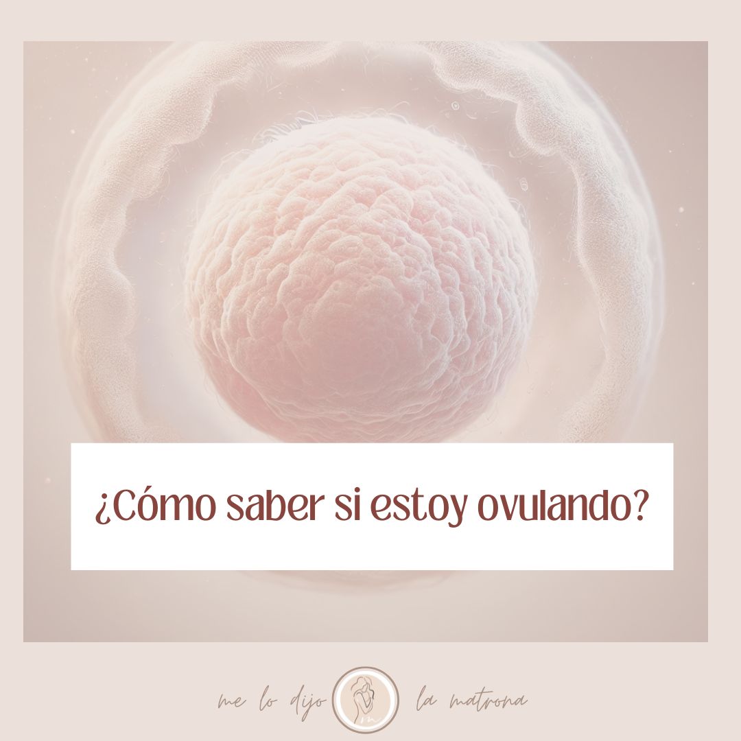 ¿Cómo saber si estoy ovulando? Síntomas