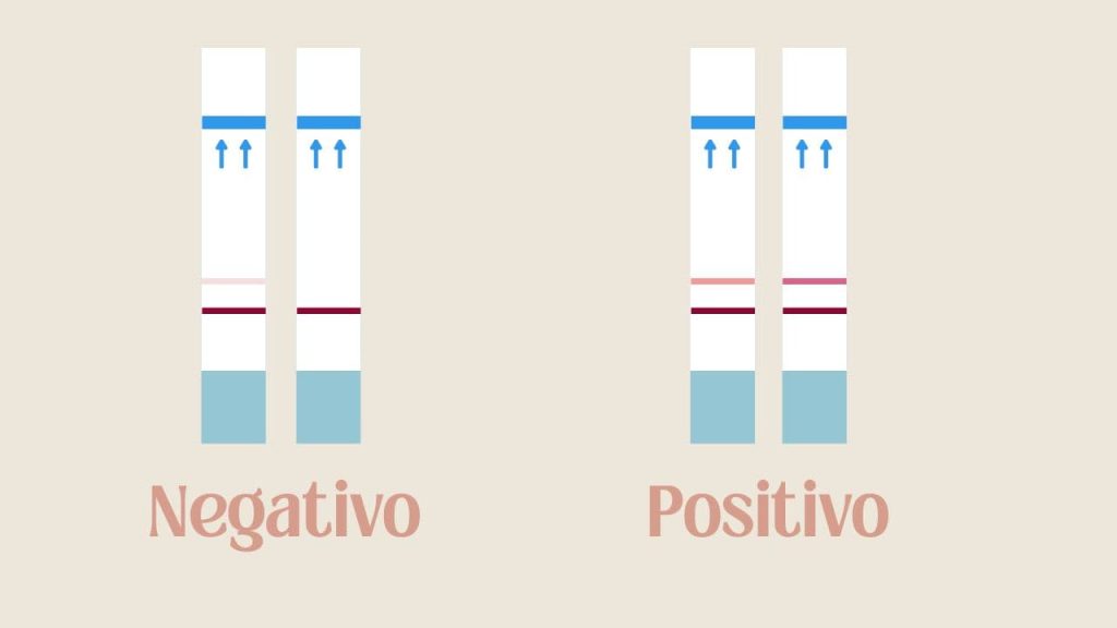 test de ovulacion y embarazo 