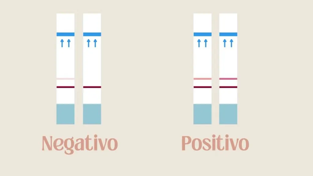 test de ovulacion y embarazo