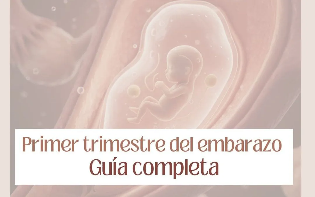 embarazo primer trimestre