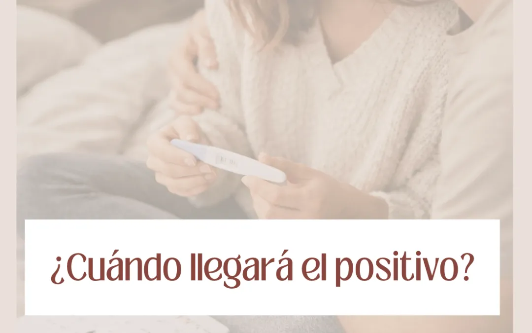 ¿Cuánto tiempo se tarda en quedarse embarazada?
