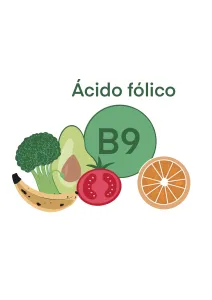 acido folico activo alimentacion