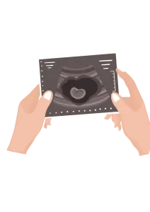 acido folico activo embarazo