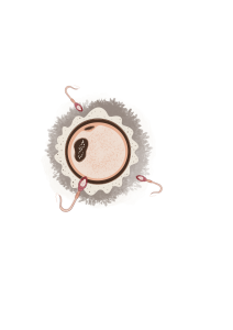 es normal no tener sintomas ovulo fecundado