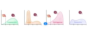 es normal no tener sintomas hormonas del embarazo