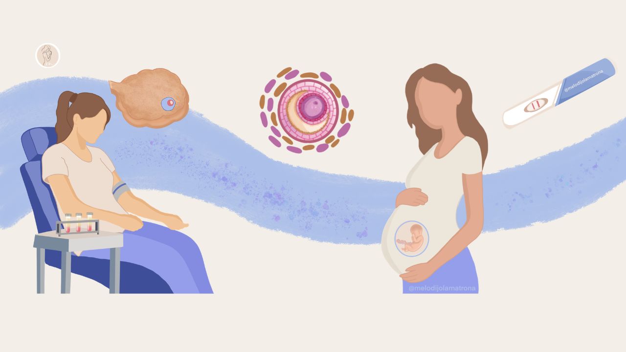 ovodonación que es mujer preparada para extracción de sangre, óvulo, mujer embarazada, test de embarazo positivo