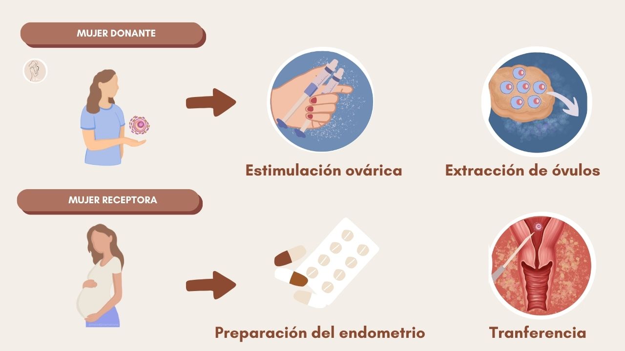 ovodonación que es mujer donante, óvulos, mano que sostiene dos jeringas, extracción de óvulos, mujer receptora embarazada, medicación, transferencia del embrión al útero con catéter