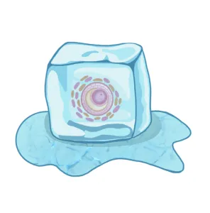ovodonación que es, cubo de hielo, óvulos vitrificados