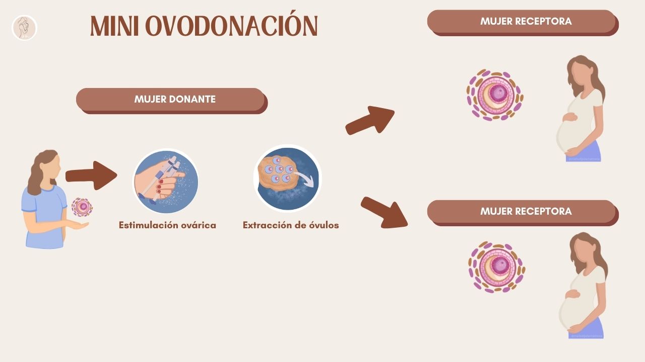 ovofonación que es miniovodonación, mujer donante sostiene óvulo, mano sostiene dos jeringas, estimulación ovárica, extracción de óvulos, dos flechas, dos óvulos, dos mujeres receptoras embarazadas