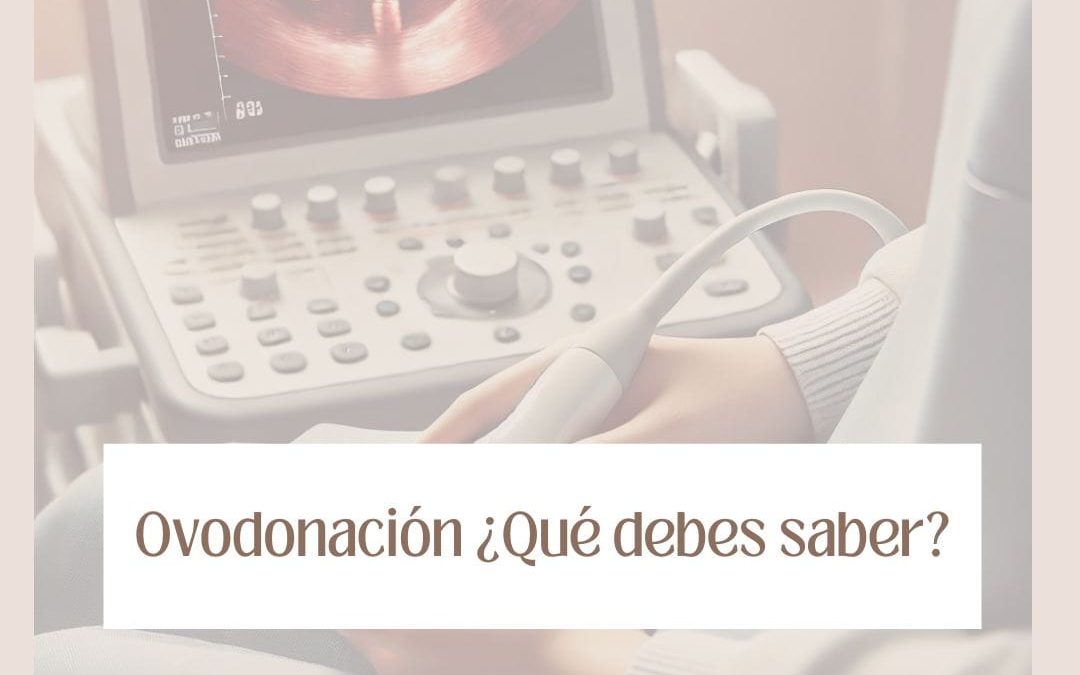Ovodonación: qué es, cómo funciona y proceso paso a paso